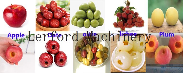 Cherry Core Pitter