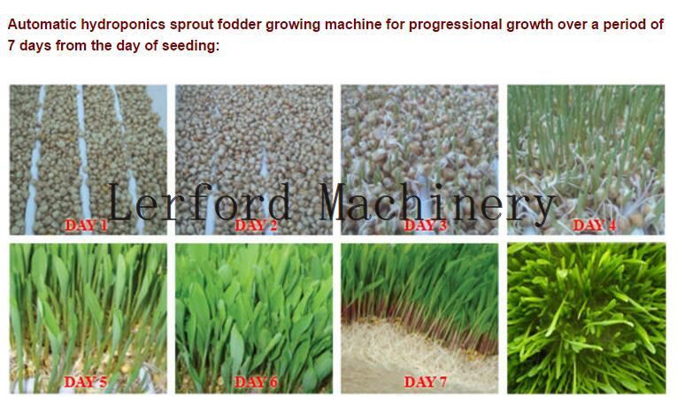 Automatic Seed Sprouts Machine Automatic Seed Sprouts Machine