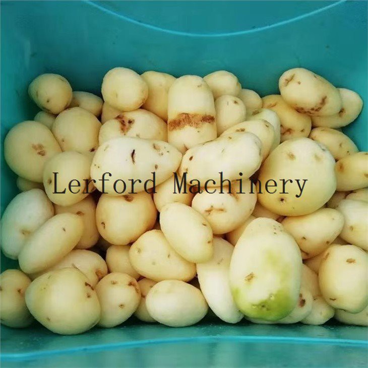 potato washing peeling machine