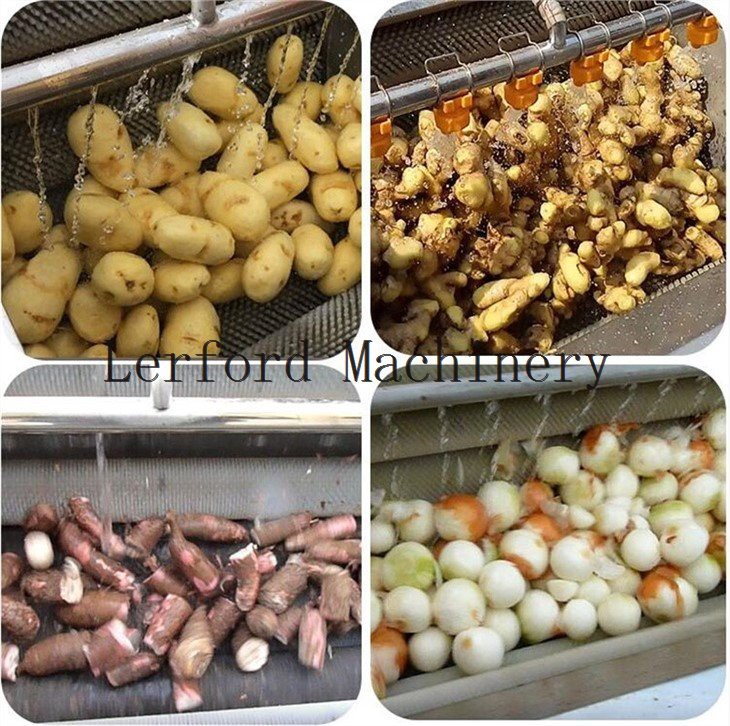 vegetable washing peeling machine