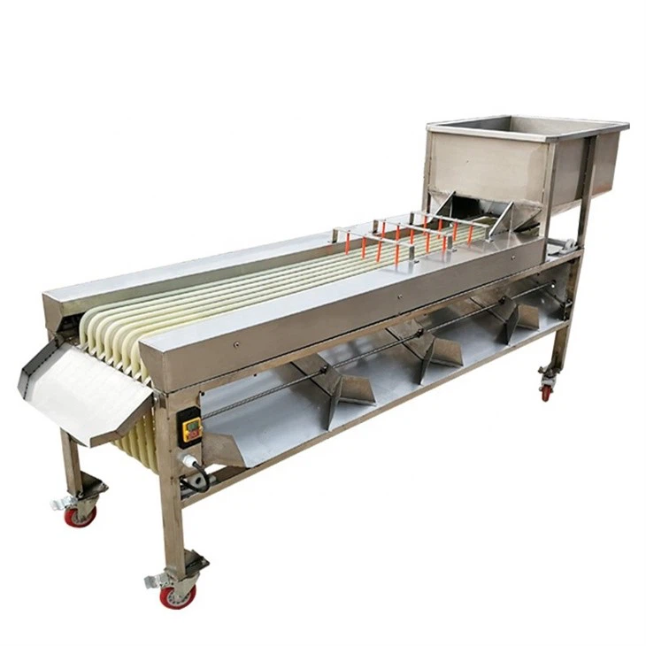 Apple Sorting Machine